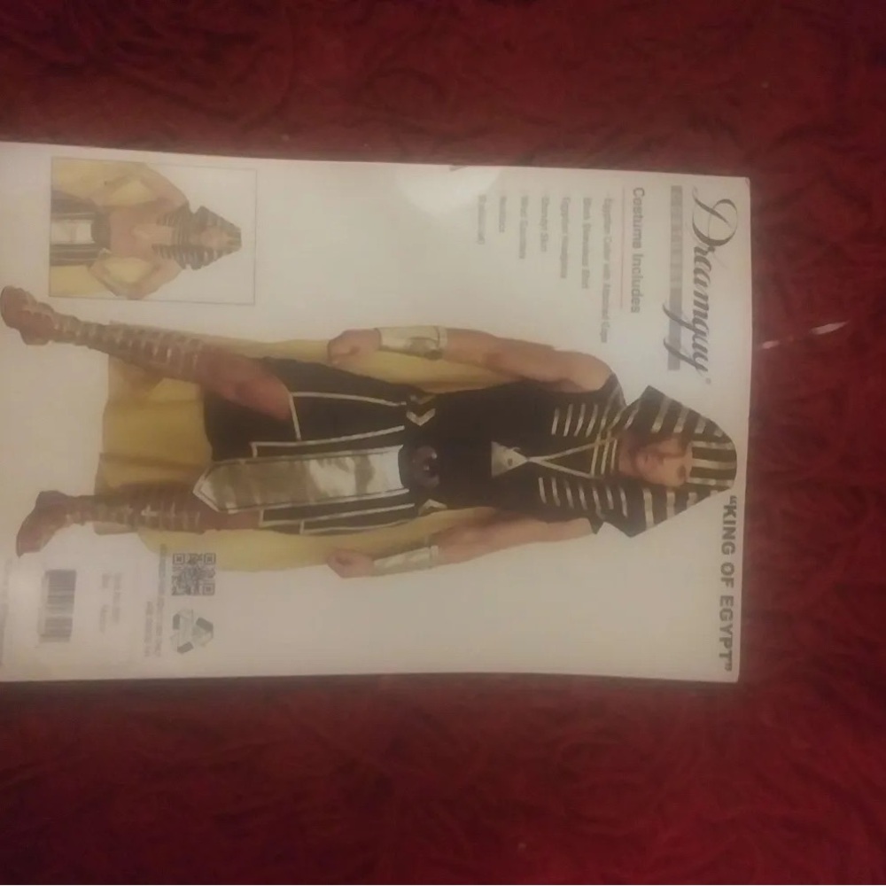 Dreamgirl King of Egypt Costume for Men - Black and Gold